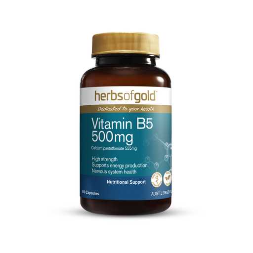 [25049022] Herbs of Gold Vitamin B5 500mg